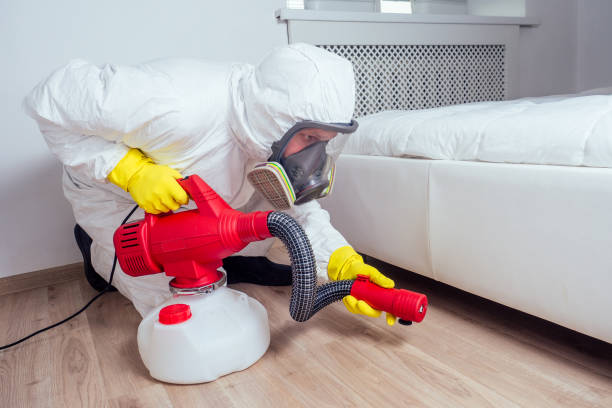 Best Pest Control Near Me in East Rockingham, NC